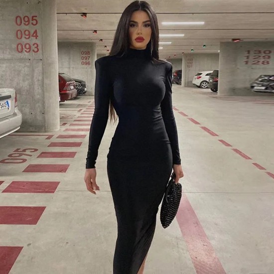 Woman Spring Autumn Style Bodycon Dress Female Sexy Long Sleeve Turtleneck Sheath Dress Vestidos SS110