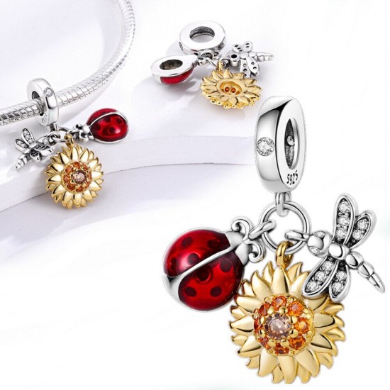 Pandora 925 Silver Charms - The Perfect Gift! Adorable, Diverse Styles