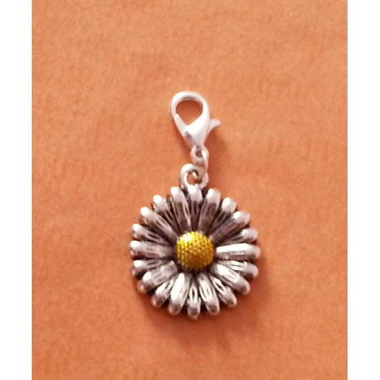 Clip On Dangle Charms for Memory Locket / Bracelet / Keyring *Buy 2 Get 1 Free*