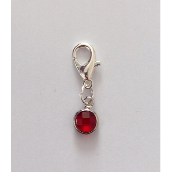 Clip On Dangle Charms for Memory Locket / Bracelet / Keyring *Buy 2 Get 1 Free*