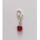 Clip On Dangle Charms for Memory Locket / Bracelet / Keyring *Buy 2 Get 1 Free*