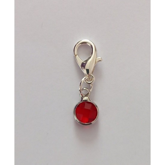 Clip On Dangle Charms for Memory Locket / Bracelet / Keyring *Buy 2 Get 1 Free*