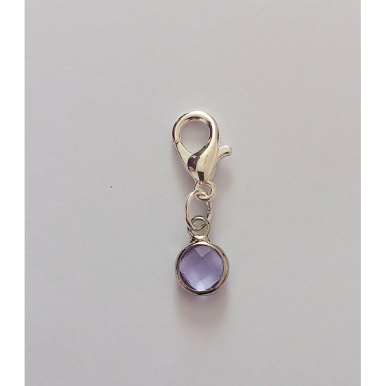 Clip On Dangle Charms for Memory Locket / Bracelet / Keyring *Buy 2 Get 1 Free*