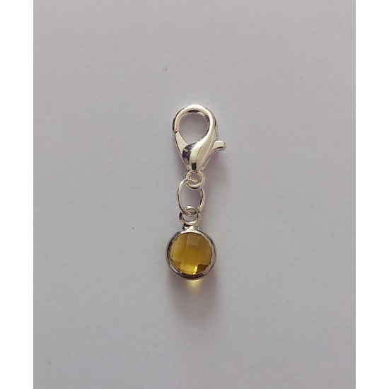 Clip On Dangle Charms for Memory Locket / Bracelet / Keyring *Buy 2 Get 1 Free*