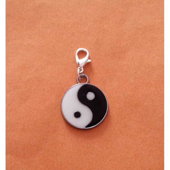 Clip On Dangle Charms for Memory Locket / Bracelet / Keyring *Buy 2 Get 1 Free*