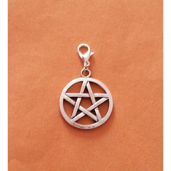 Clip On Dangle Charms for Memory Locket / Bracelet / Keyring *Buy 2 Get 1 Free*