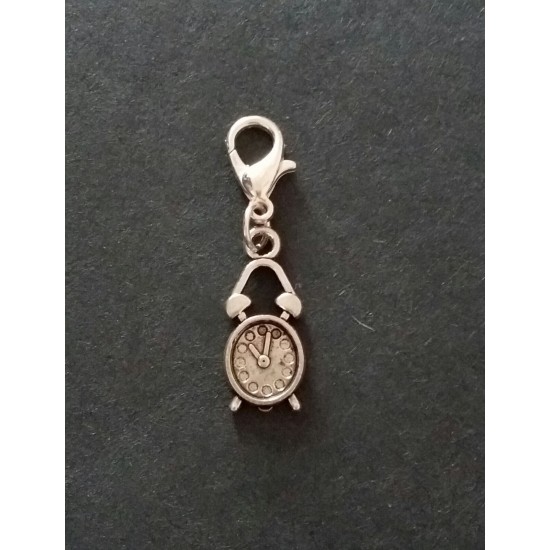 Clip On Dangle Charms for Memory Locket / Bracelet / Keyring *Buy 2 Get 1 Free*