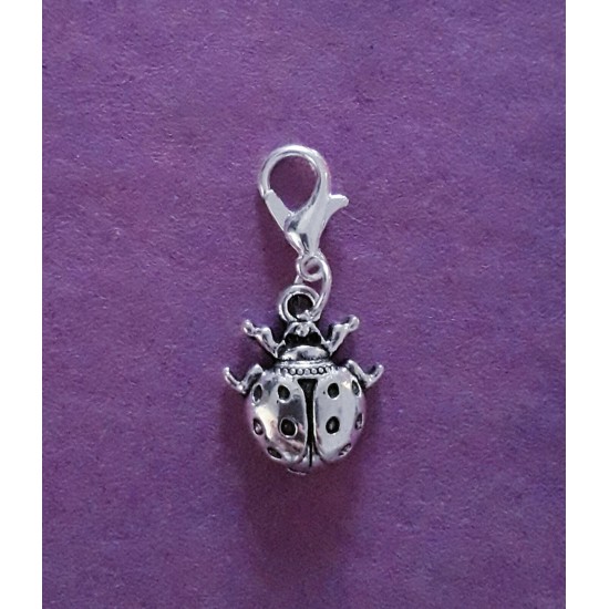 Clip On Dangle Charms for Memory Locket / Bracelet / Keyring *Buy 2 Get 1 Free*
