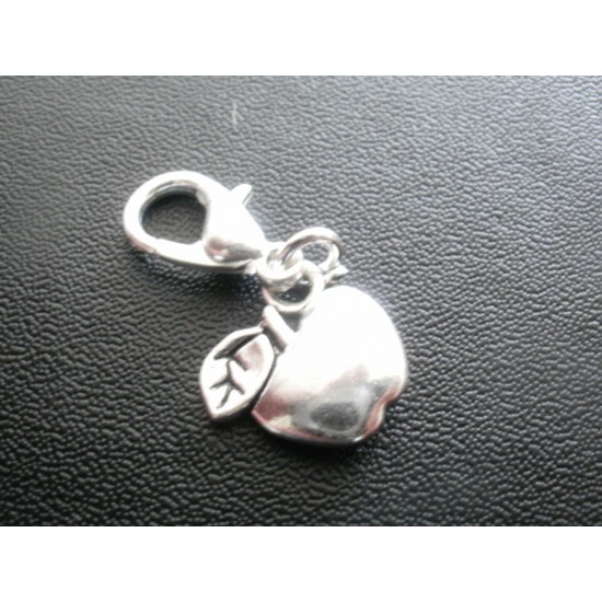 Clip on Charms for Bracelets