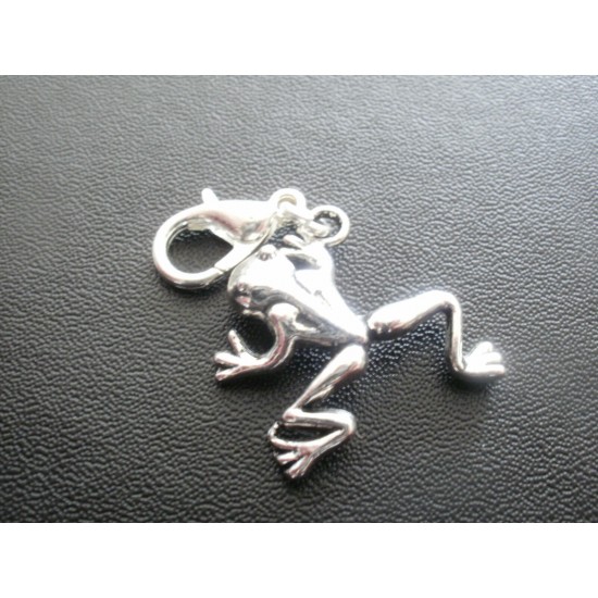 Clip on Charms for Bracelets