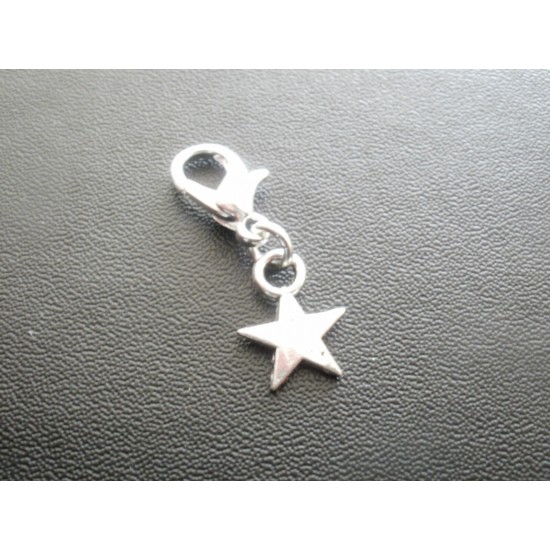 Clip on Charms for Bracelets