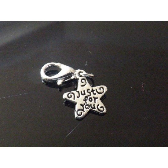 Clip on Charms for Bracelets