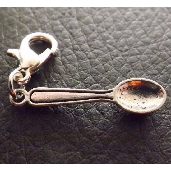 Clip on Charms for Bracelets