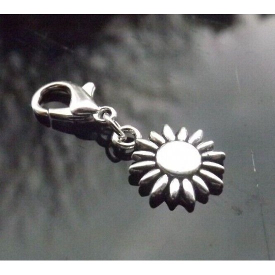 Clip on Charms for Bracelets