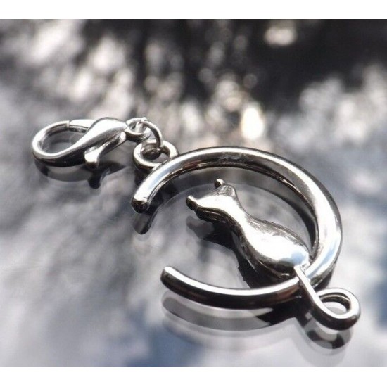 Clip on Charms for Bracelets