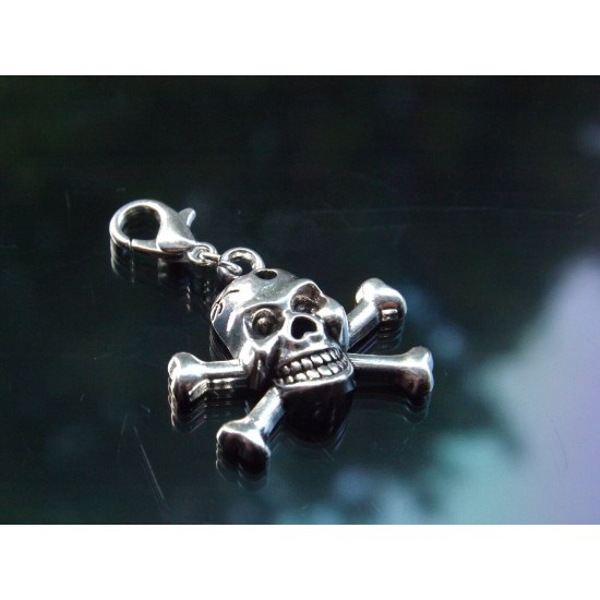Clip on Charms for Bracelets