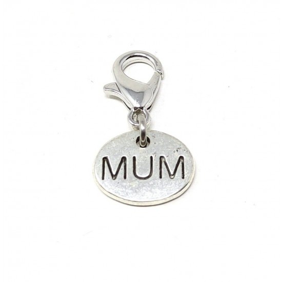 Tibetan Silver Clip on Charms For Bracelets - Zips - Phones - Stitch Markers